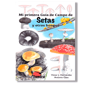 Setas y otros hongos: mi primera guía de campo. Víctor Hernándes