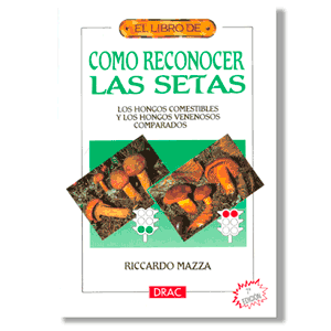 Cómo reconocer las setas