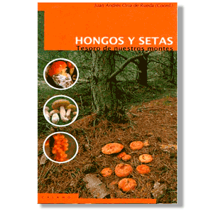 Hongos y setas...