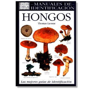 Hongos: manual de identificación