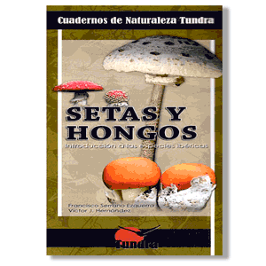 Setas y hongos