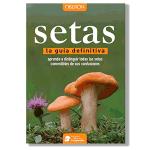 Setas. La guía definitiva