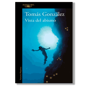 Vista del abismo. Tomás González